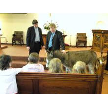 A special visitor on Palm Sunday